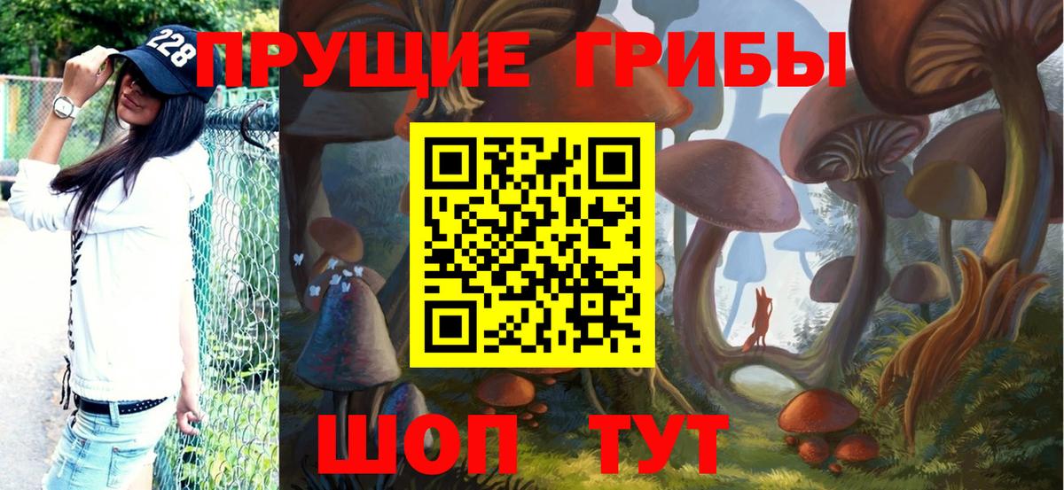 Асбест  Псилоцибиновые грибы Psilocybe  Вход с VPN 